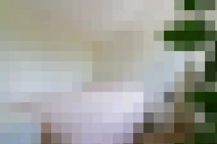 Klaprooslaan 57 b Groningen thumbnail 39