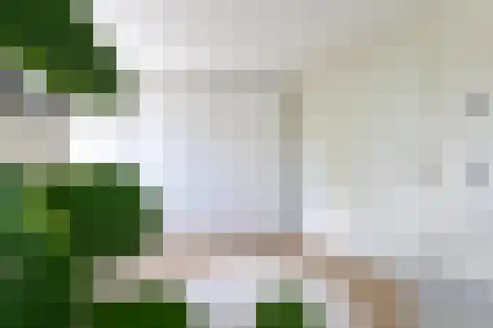 Klaprooslaan 57 b Groningen thumbnail 40