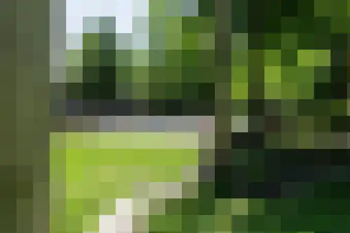 Klaprooslaan 57 b Groningen thumbnail 59
