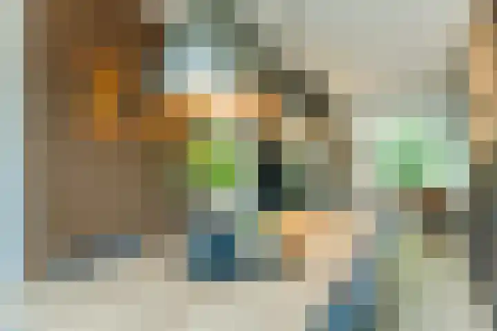 Klaprooslaan 6 Beilen thumbnail 16