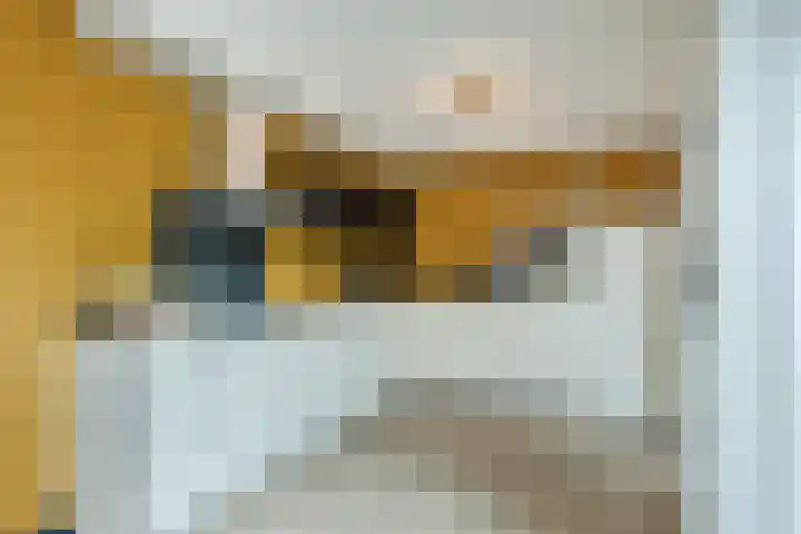 Klaprooslaan 6 Beilen thumbnail 18