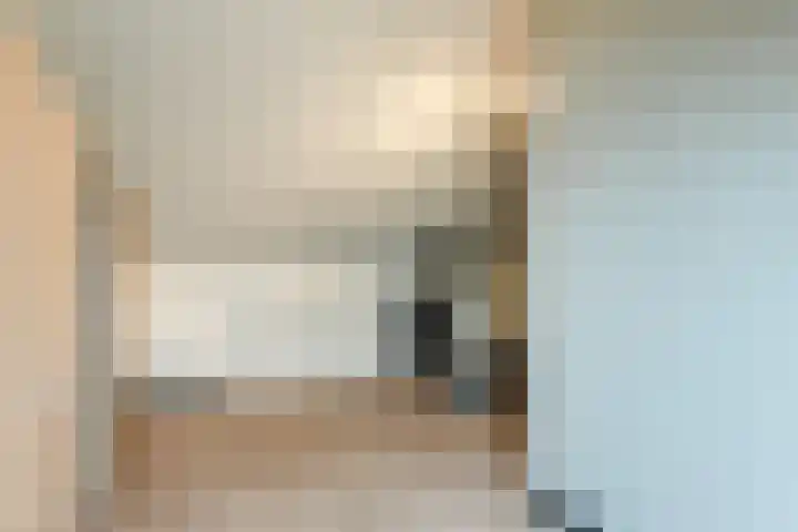 Klaprooslaan 6 Beilen thumbnail 36