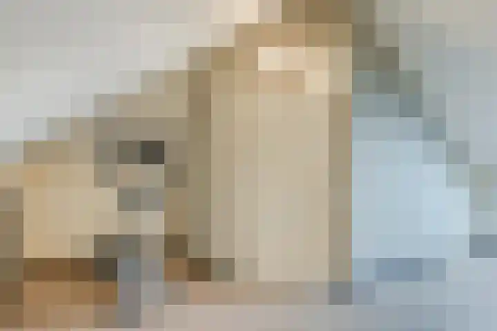 Klaprooslaan 6 Beilen thumbnail 37
