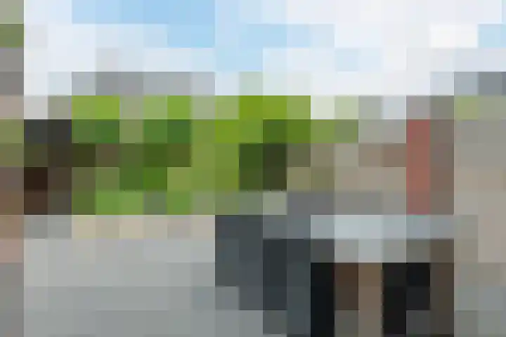 Klaprooslaan 6 Beilen thumbnail 40