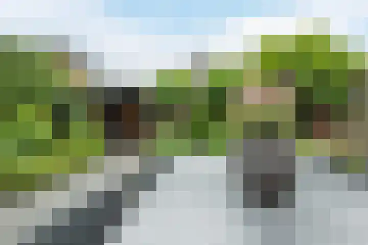 Klaprooslaan 6 Beilen thumbnail 42