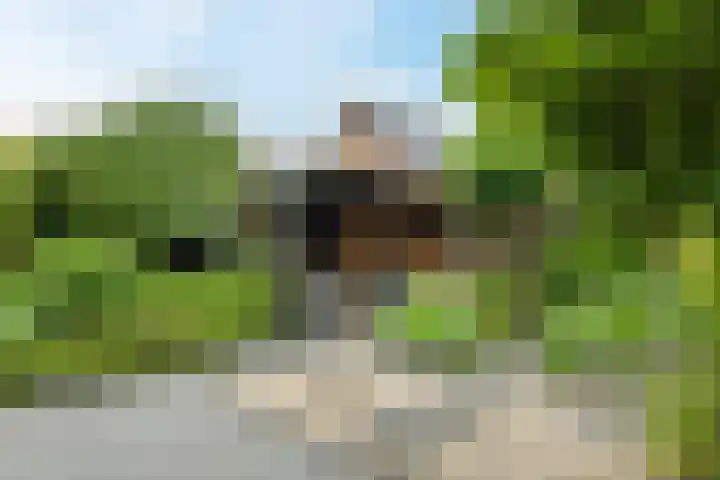 Klaprooslaan 6 Beilen thumbnail 45