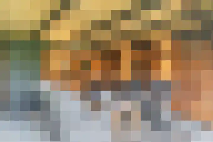 Klaprooslaan 6 Beilen thumbnail 47