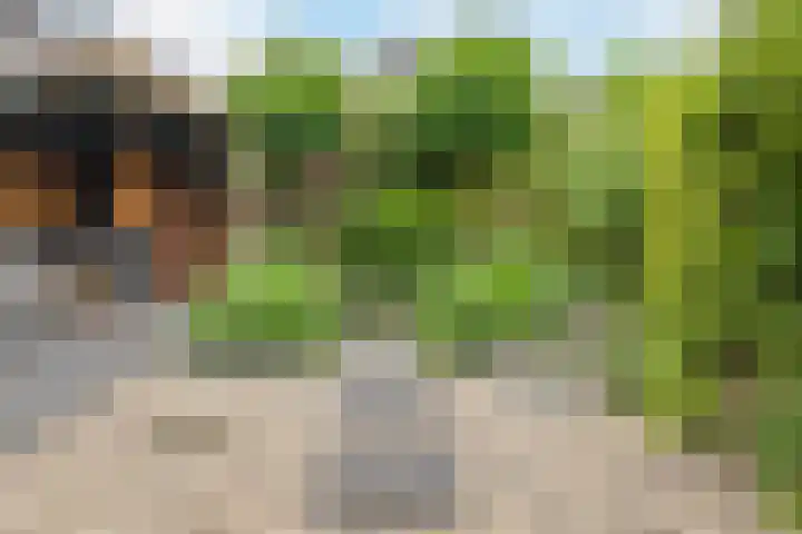Klaprooslaan 6 Beilen thumbnail 48