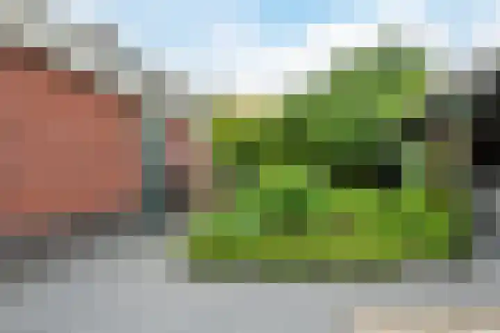 Klaprooslaan 6 Beilen thumbnail 50