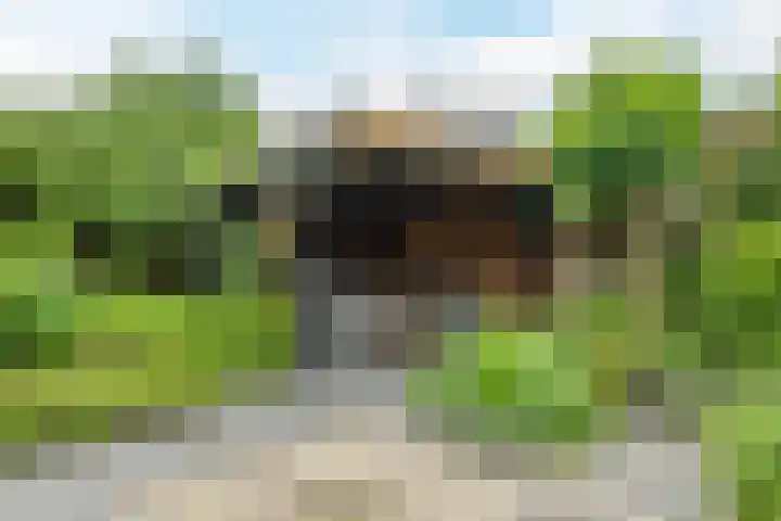 Klaprooslaan 6 Beilen thumbnail 52