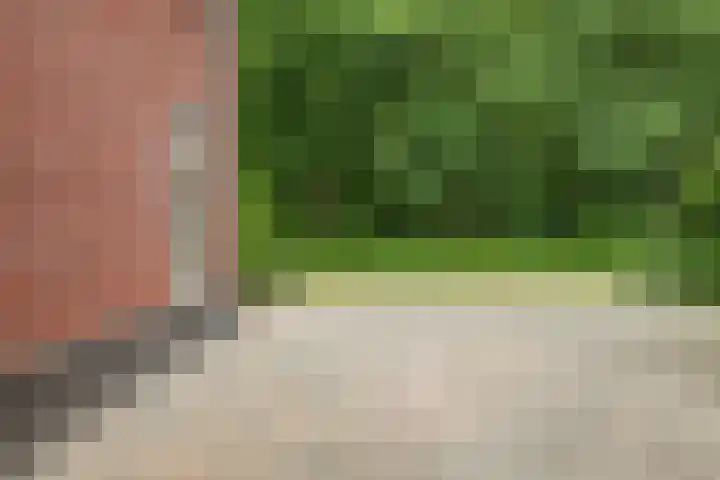 Klaprooslaan 6 Beilen thumbnail 53