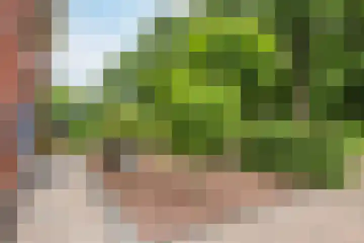 Klaprooslaan 6 Beilen thumbnail 55