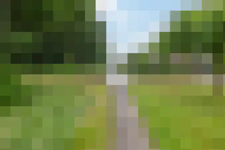 Klaprooslaan 6 Beilen thumbnail 56