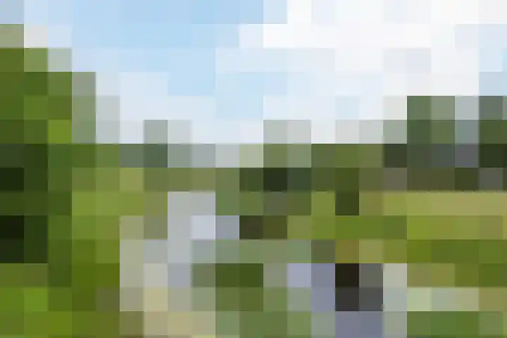 Klaprooslaan 6 Beilen thumbnail 57