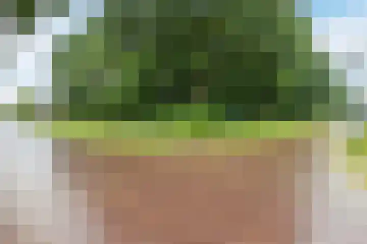 Klaprooslaan 6 Beilen thumbnail 58