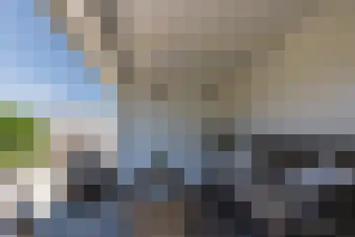 Klaprooslaan 62 Terneuzen thumbnail 24