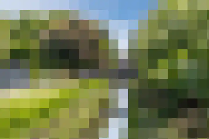 Klaprooslaan 62 Terneuzen thumbnail 27