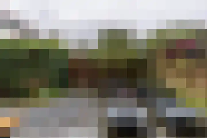 Klaprooslaan 63 Groningen thumbnail 21