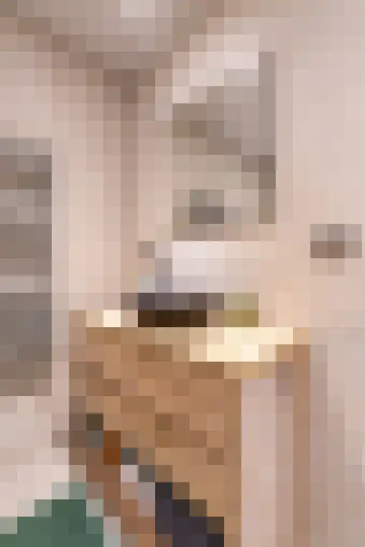 Klaprooslaan 63 Groningen thumbnail 30