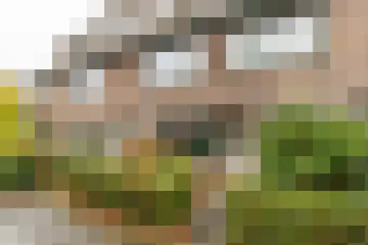 Klaprooslaan 63 Groningen thumbnail 4