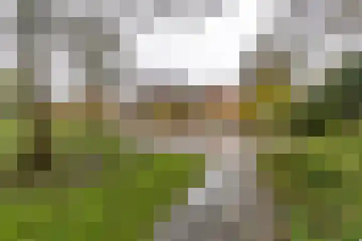 Klaprooslaan 63 Groningen thumbnail 6