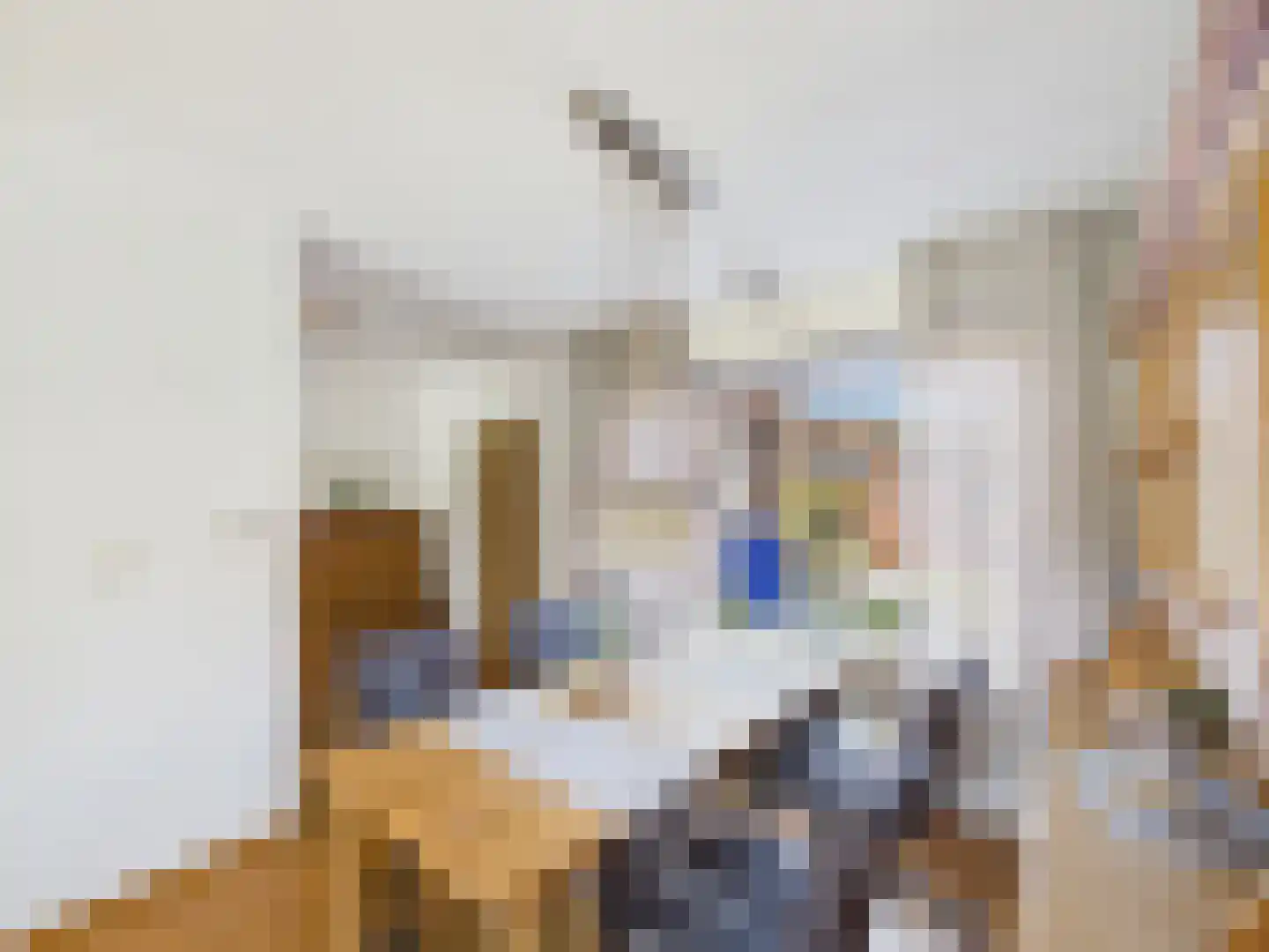 Klaprooslaan 65 Terneuzen thumbnail 10