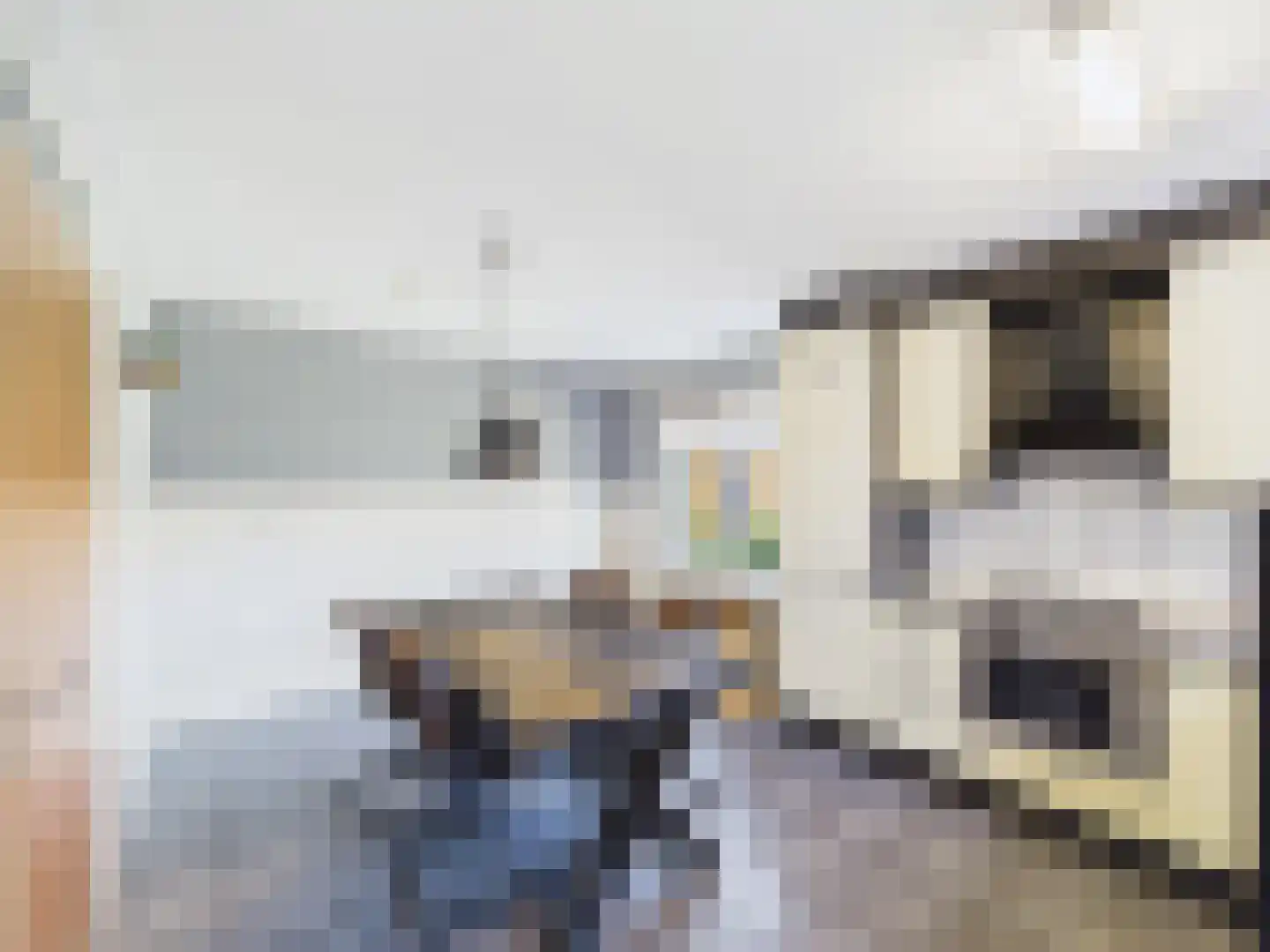 Klaprooslaan 65 Terneuzen thumbnail 14