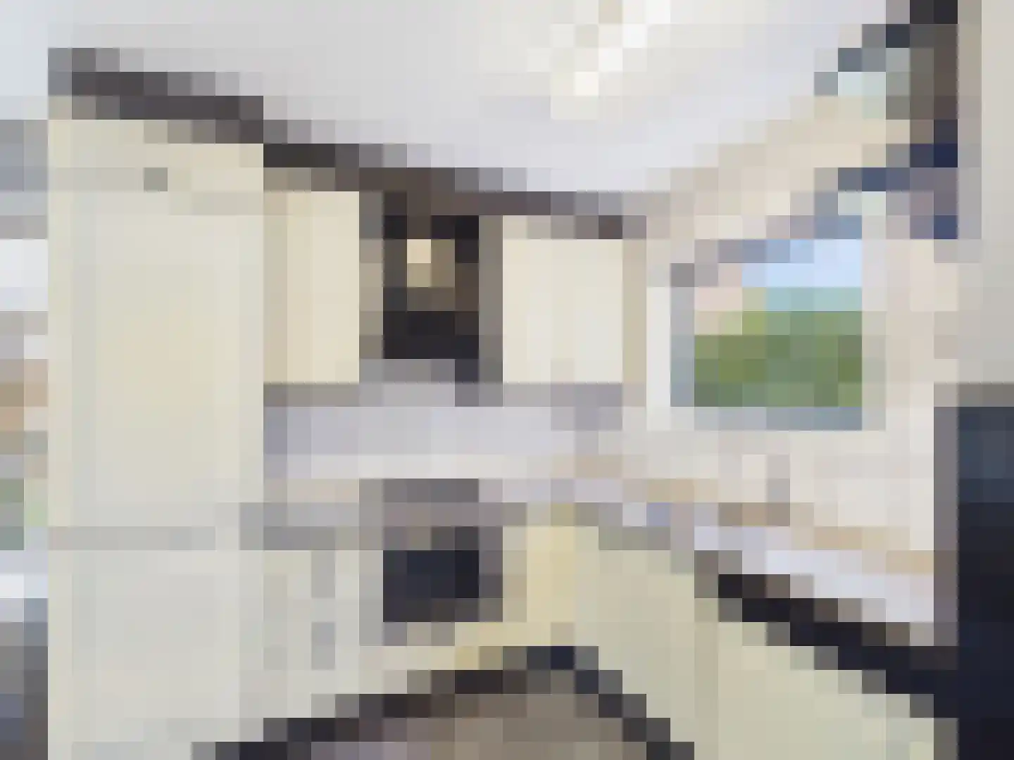 Klaprooslaan 65 Terneuzen thumbnail 17