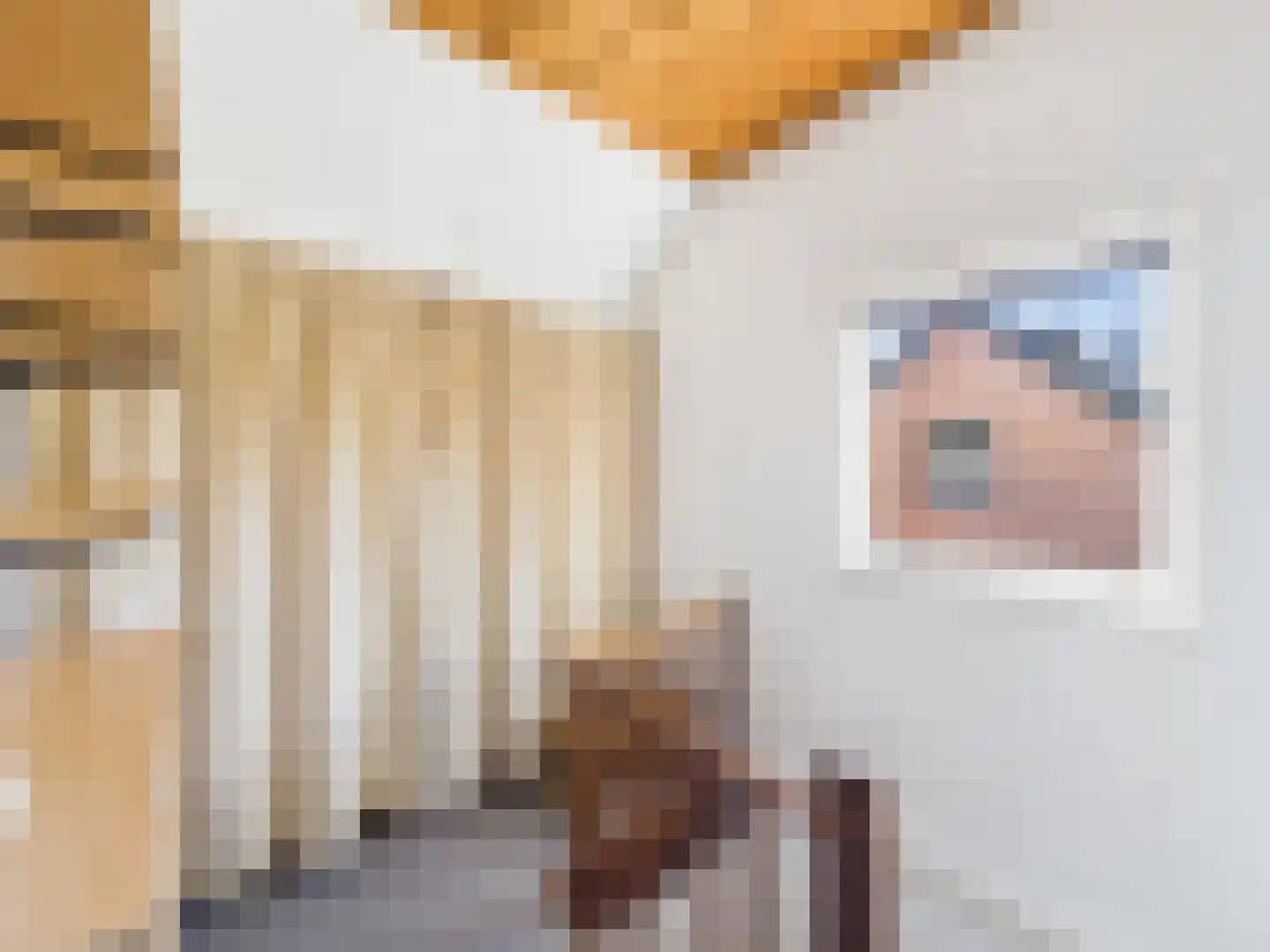 Klaprooslaan 65 Terneuzen thumbnail 34