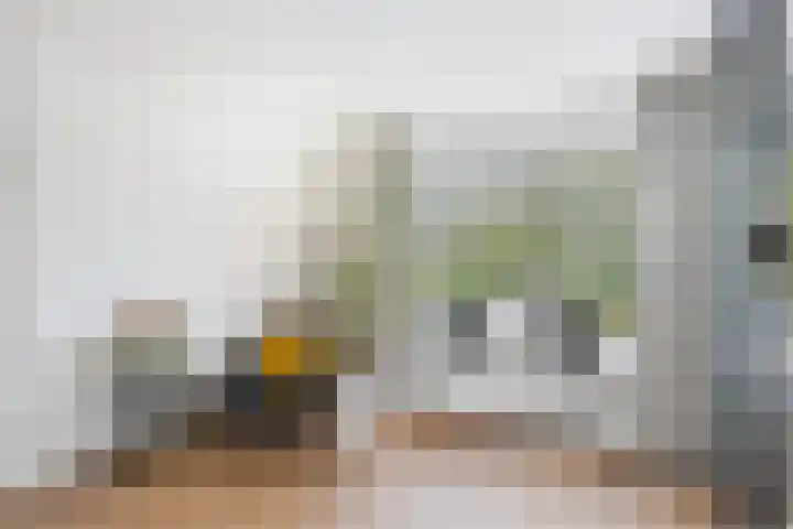 Klaprooslaan 71 Terneuzen thumbnail 10