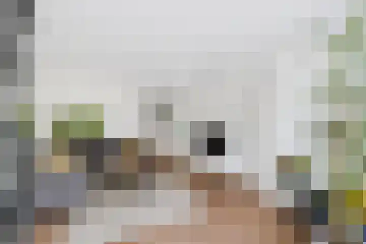 Klaprooslaan 71 Terneuzen thumbnail 11