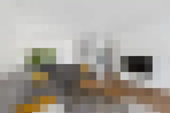 Klaprooslaan 71 Terneuzen thumbnail 12