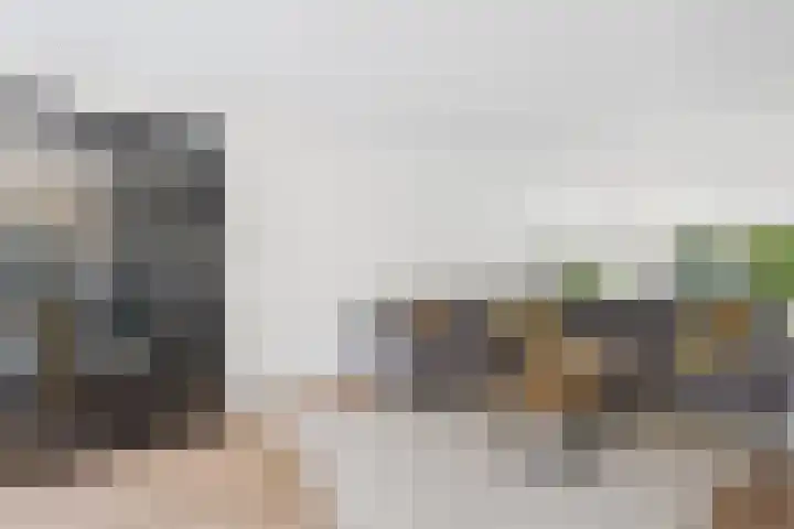 Klaprooslaan 71 Terneuzen thumbnail 13