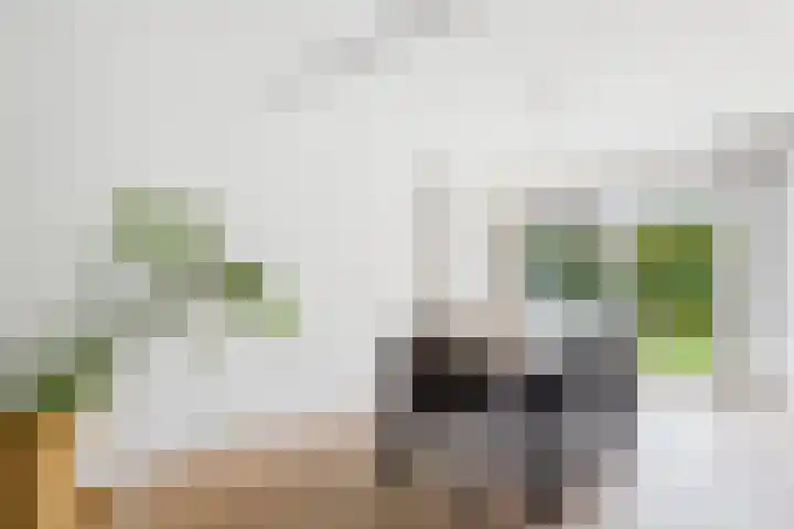 Klaprooslaan 71 Terneuzen thumbnail 15