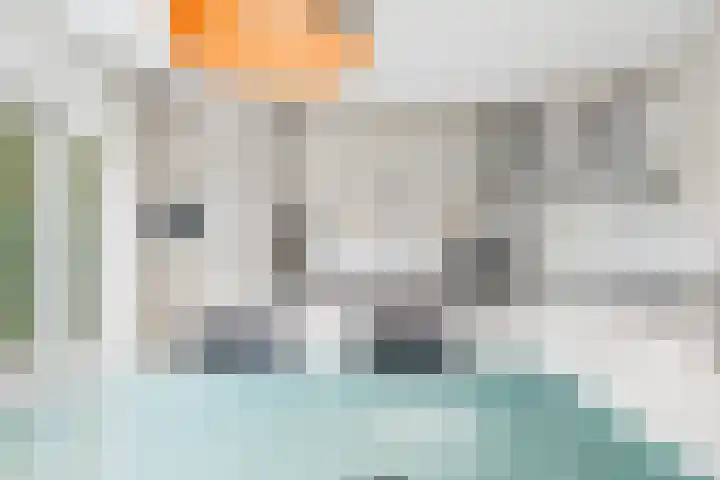 Klaprooslaan 71 Terneuzen thumbnail 17