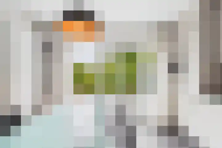 Klaprooslaan 71 Terneuzen thumbnail 18