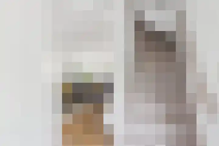 Klaprooslaan 71 Terneuzen thumbnail 21