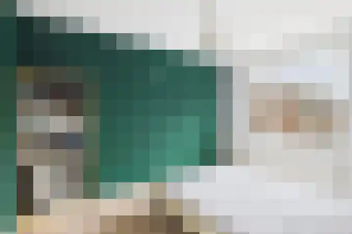 Klaprooslaan 71 Terneuzen thumbnail 24
