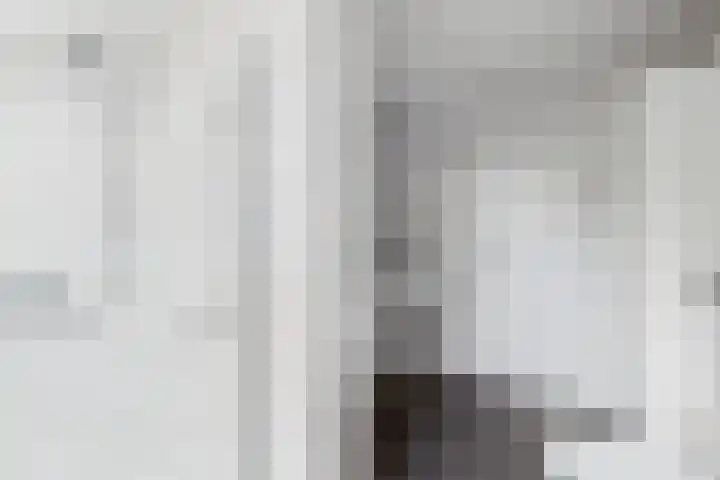Klaprooslaan 71 Terneuzen thumbnail 32
