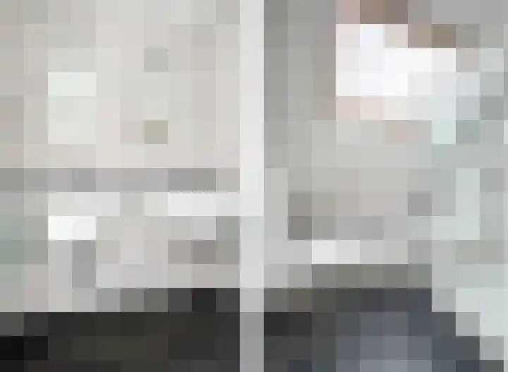 Klaprooslaan 71 Terneuzen thumbnail 34