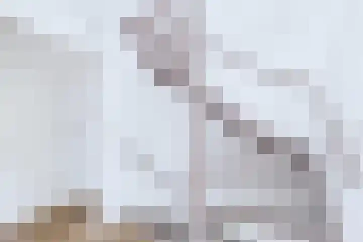 Klaprooslaan 71 Terneuzen thumbnail 35