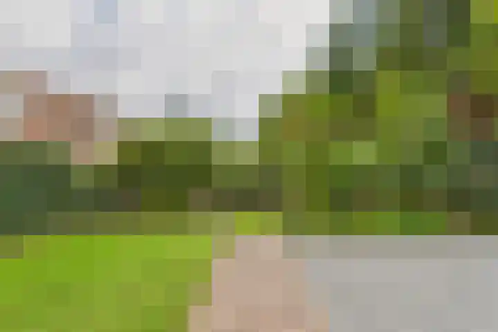 Klaprooslaan 71 Terneuzen thumbnail 40