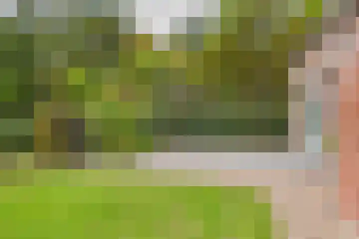 Klaprooslaan 71 Terneuzen thumbnail 41