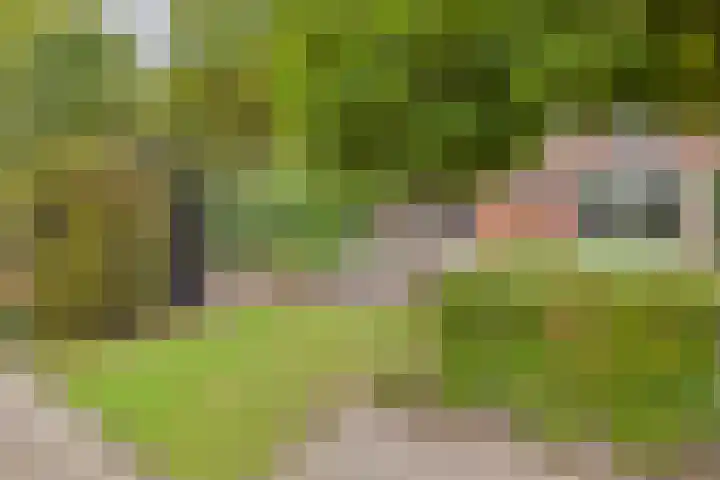Klaprooslaan 71 Terneuzen thumbnail 42