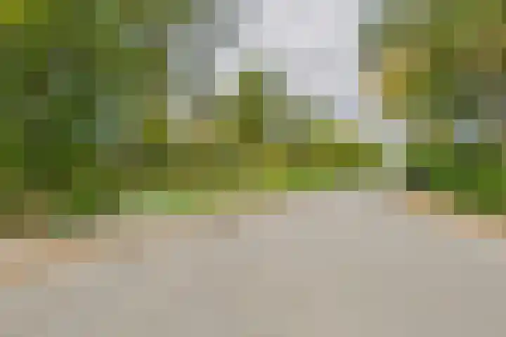 Klaprooslaan 71 Terneuzen thumbnail 45