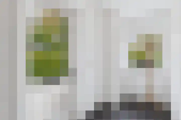 Klaprooslaan 71 Terneuzen thumbnail 7
