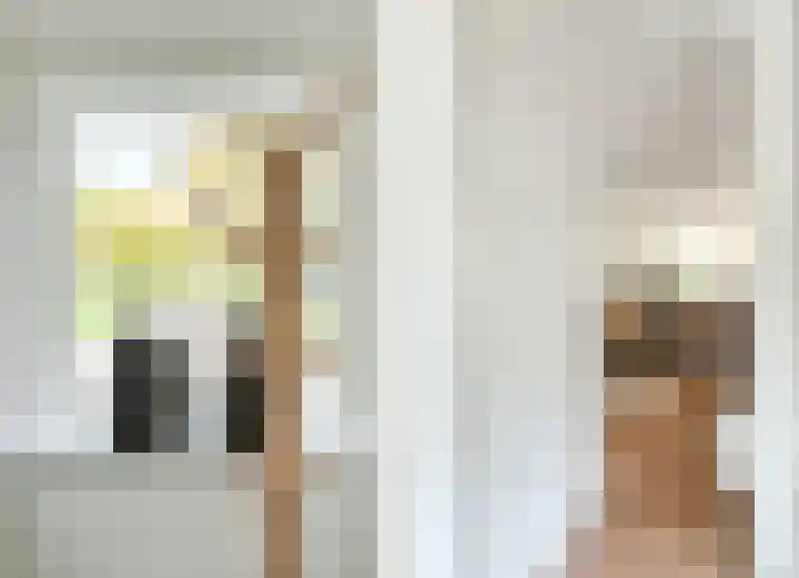 Klaprooslaan 71 Terneuzen thumbnail 8