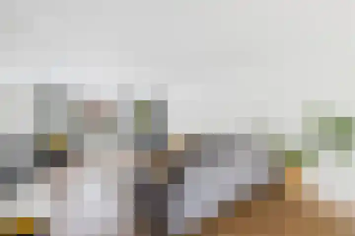 Klaprooslaan 71 Terneuzen thumbnail 9