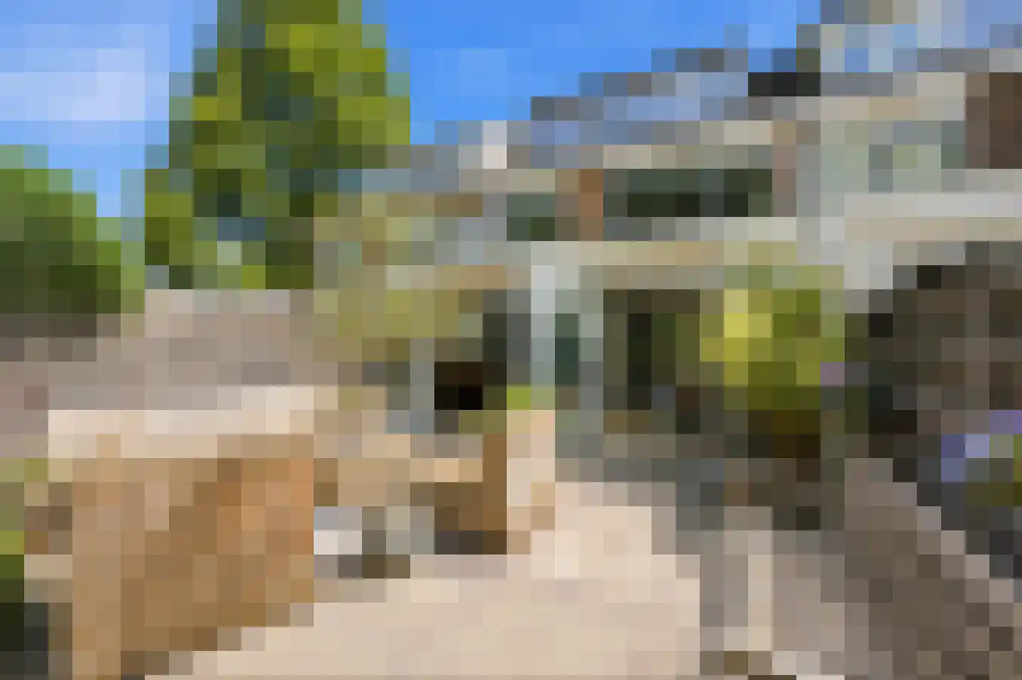 Klaprooslaan 73 Rotterdam thumbnail 25