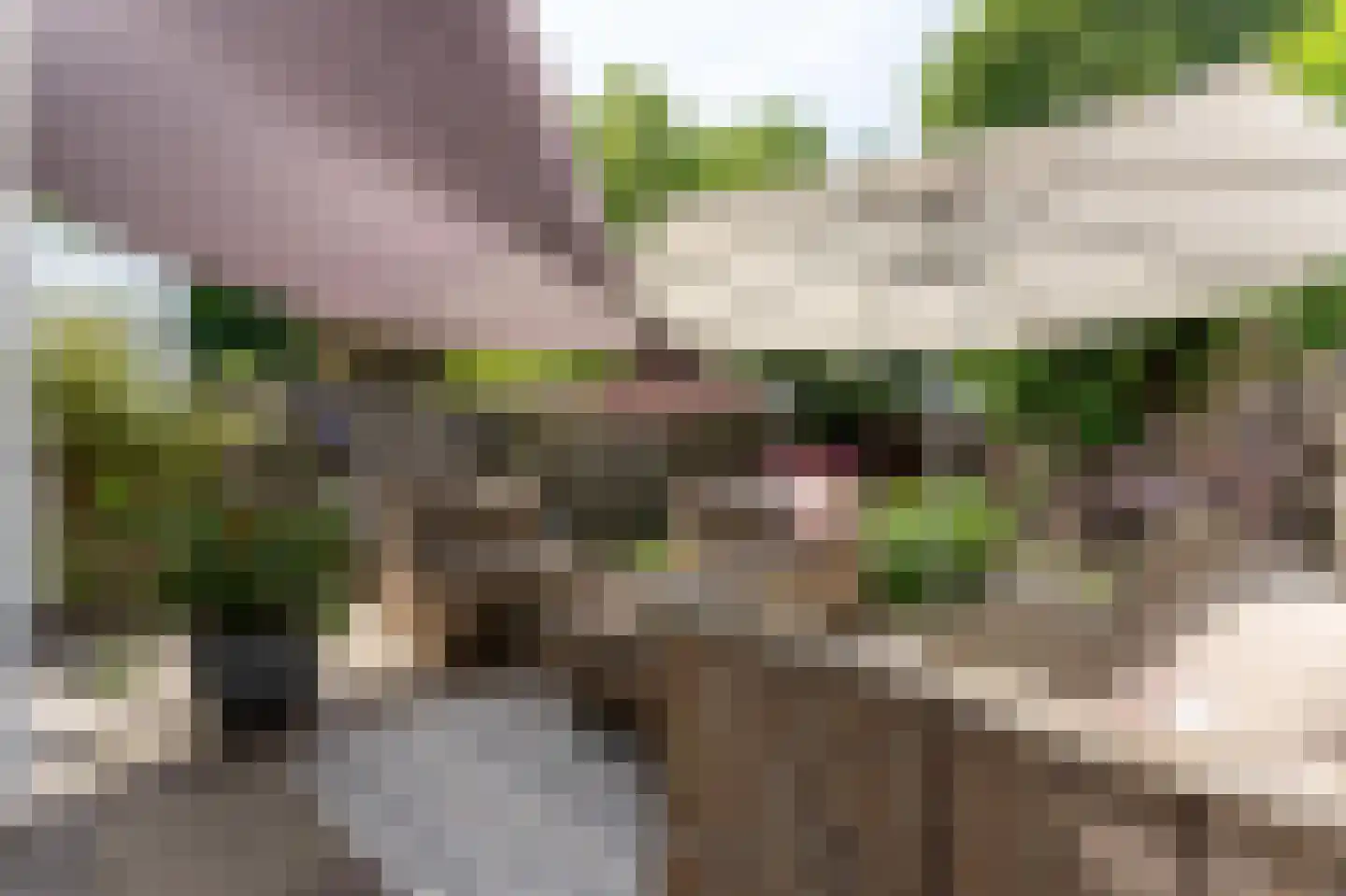 Klaprooslaan 73 Rotterdam thumbnail 33